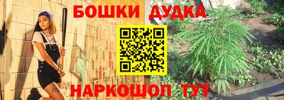 мдпв Бийск