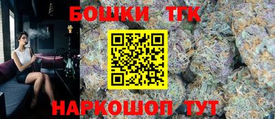 мдпв Бийск