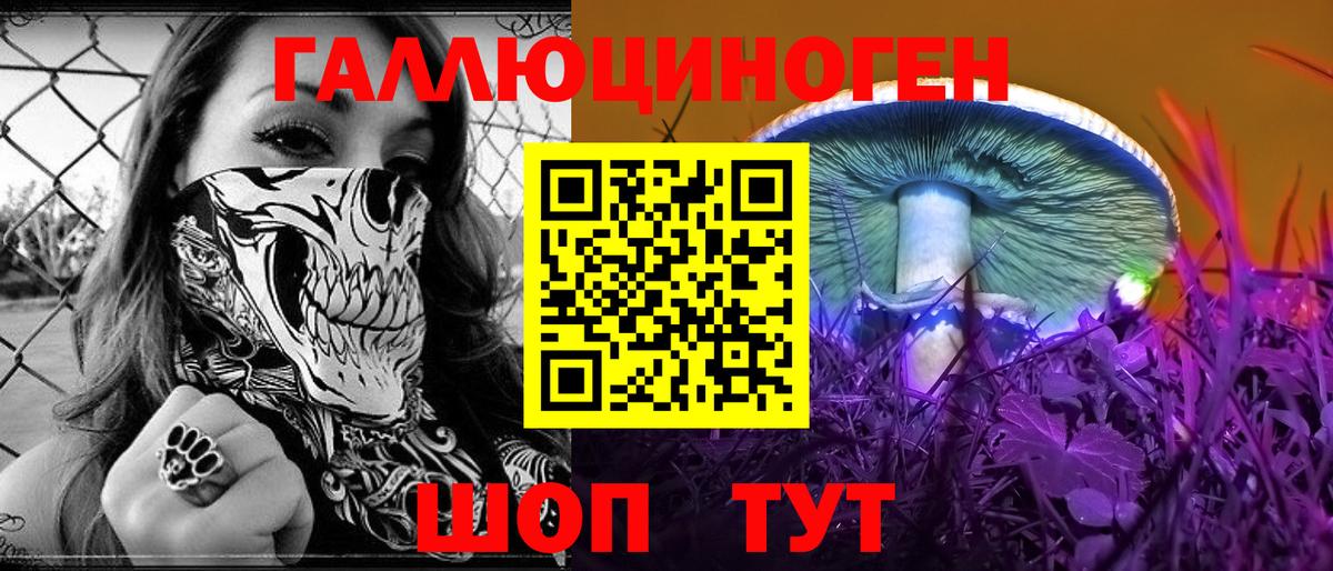 Псилоцибиновые грибы MAGIC MUSHROOMS Канаш